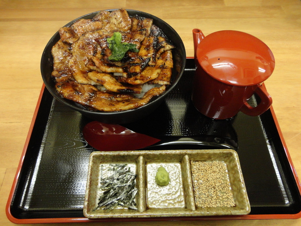 豚丼+お茶漬けセット